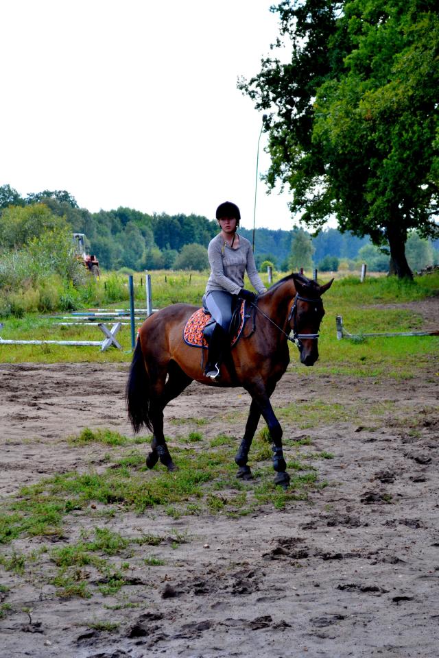 Wpis withwindgalloping