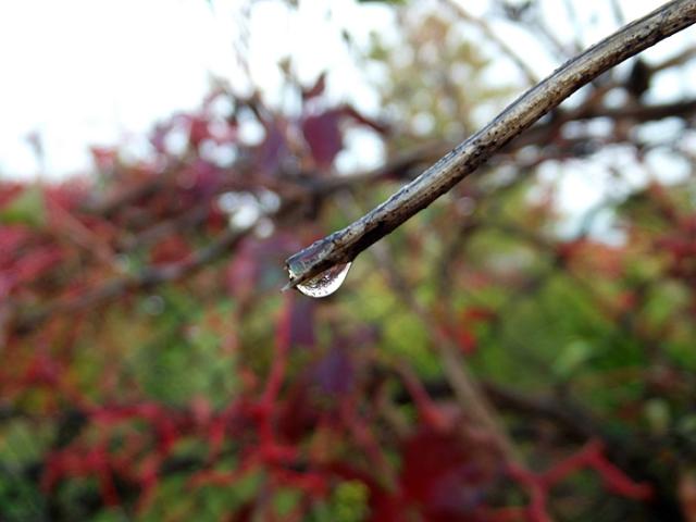 Drop.