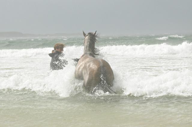 Wpis horseracing
