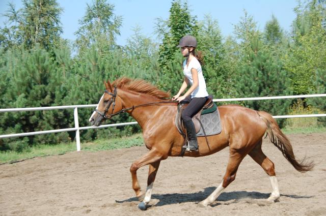 Najlepsza