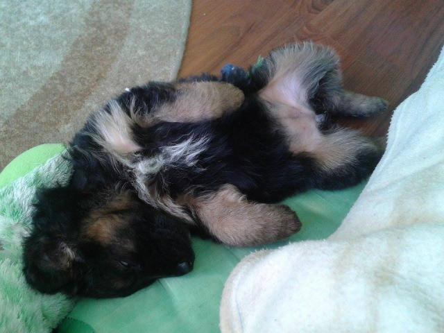 Sonia :)