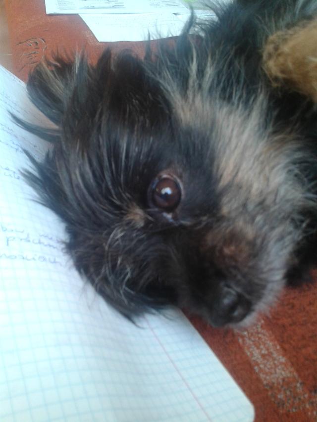Wpis konicaaa