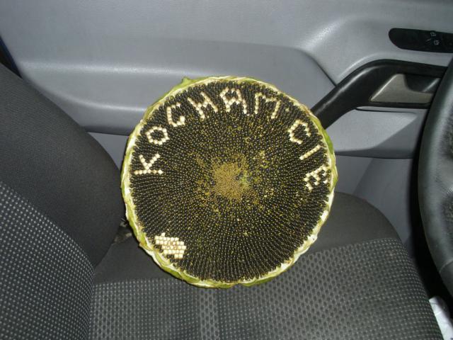 07. 09. 2014
