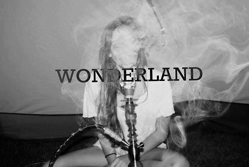 wonderland