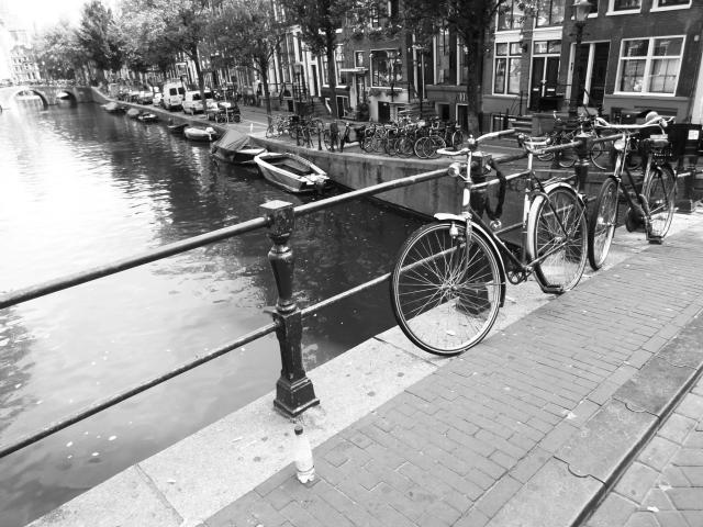 Ams