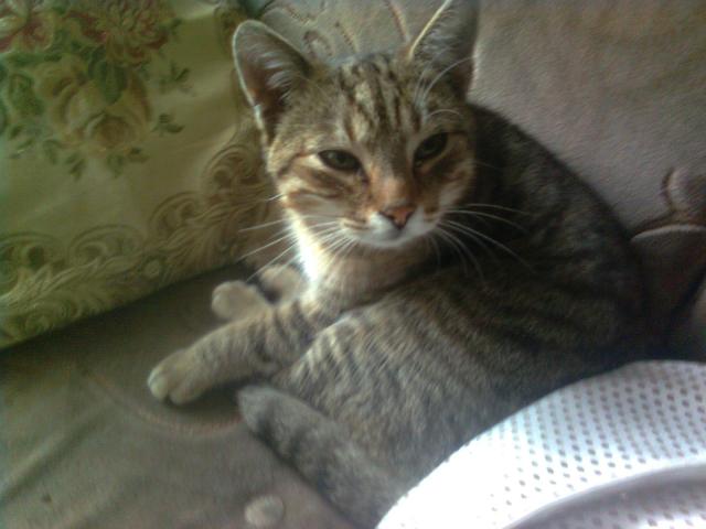 Miciek  :D