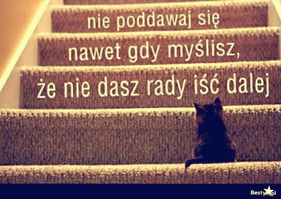 Wpis wiktorynkaxdd