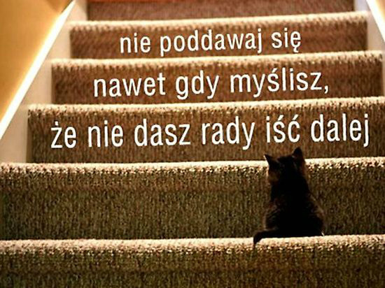 Wpis zmieniesiebochce
