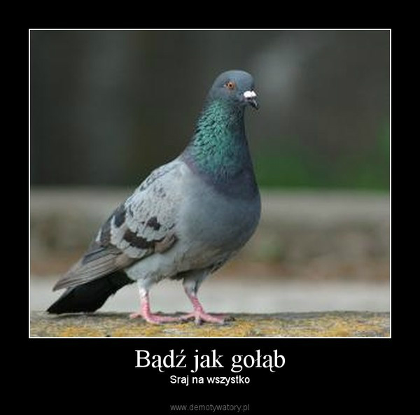 taarararara