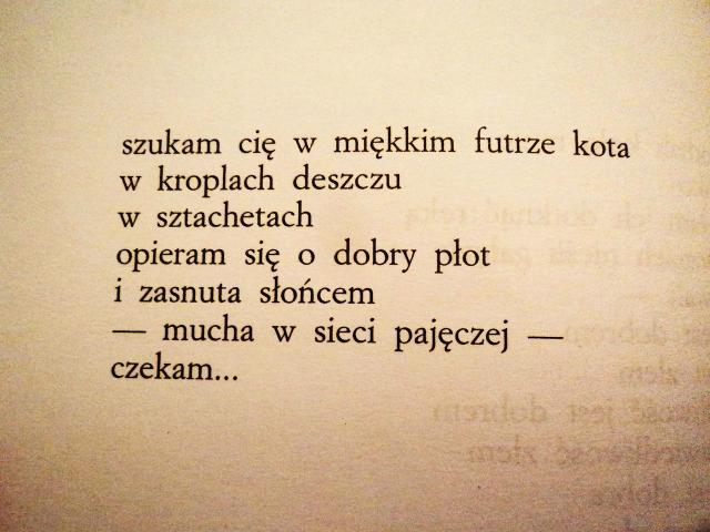 Wpis poezjaaaa