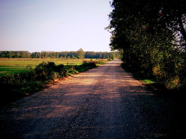 Styrzyniec 