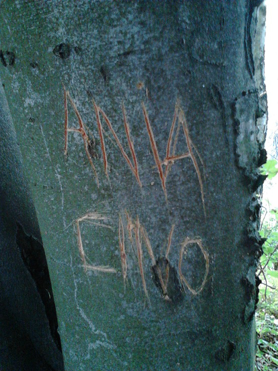 Wpis aniaplichta2