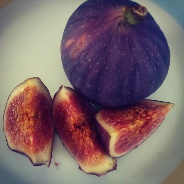 Figi 