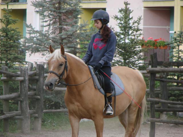 Apolla 