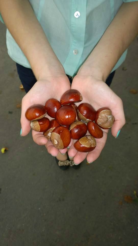 kasztanki ^^