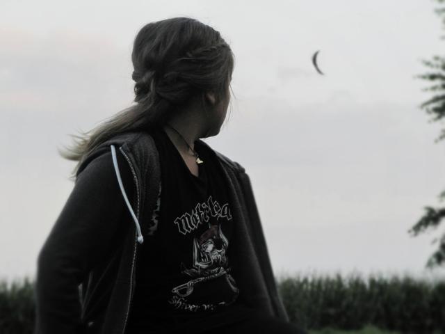 Wpis photobymb
