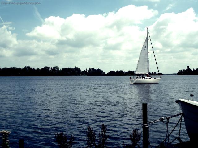 Wpis patrycja1143