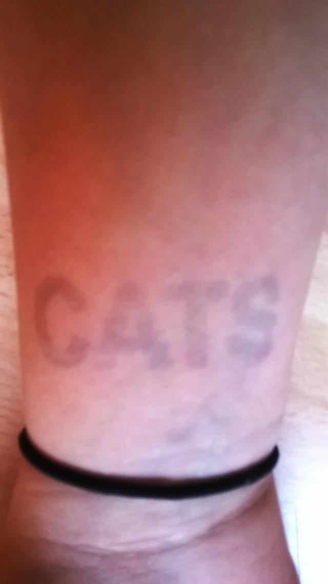 ...cat xd