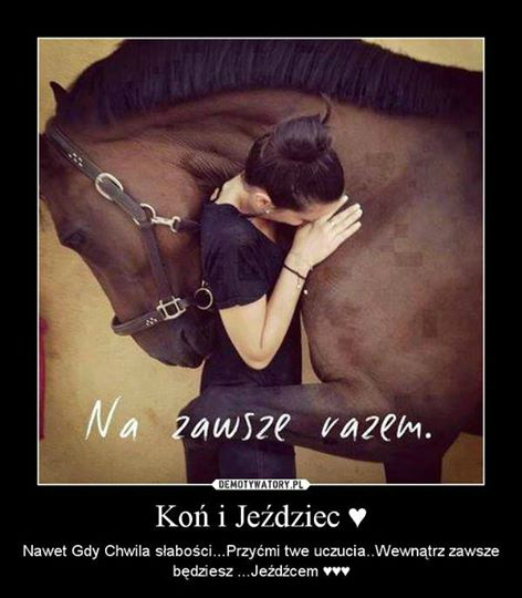 jazda konna