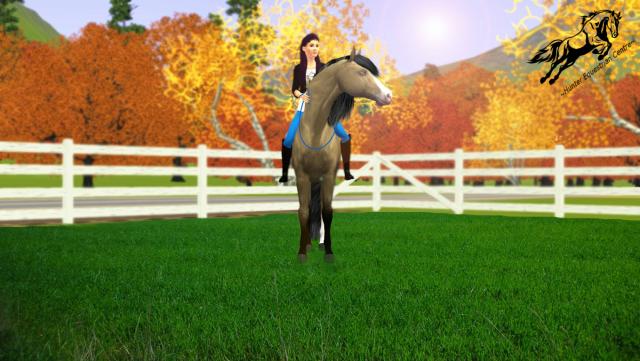 Wpis simseyhorses