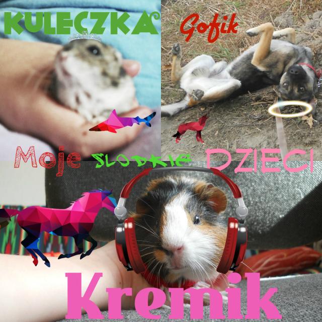 Wpis sweetkunia11