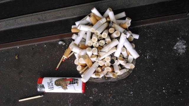 Wpis artbrut