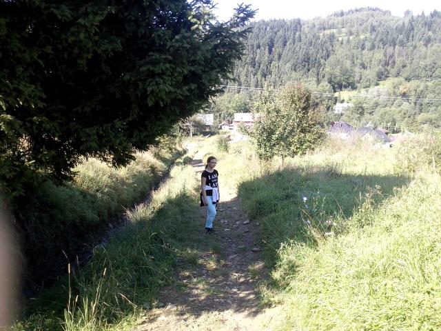Vingt.