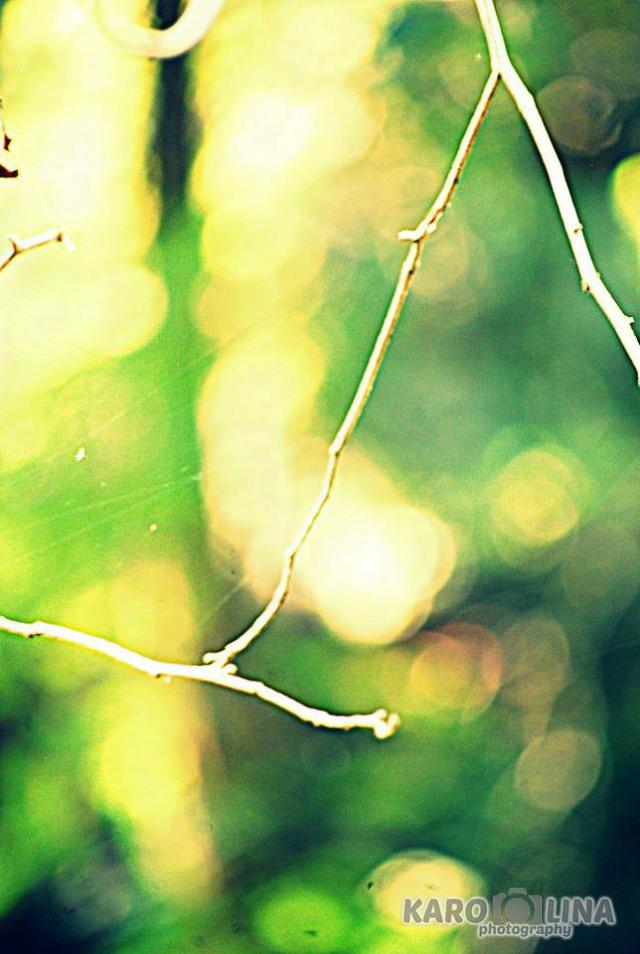 #light