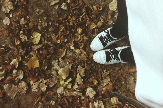 autumn is here.