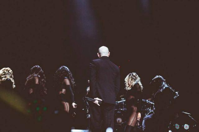 Wpis pitbullforever