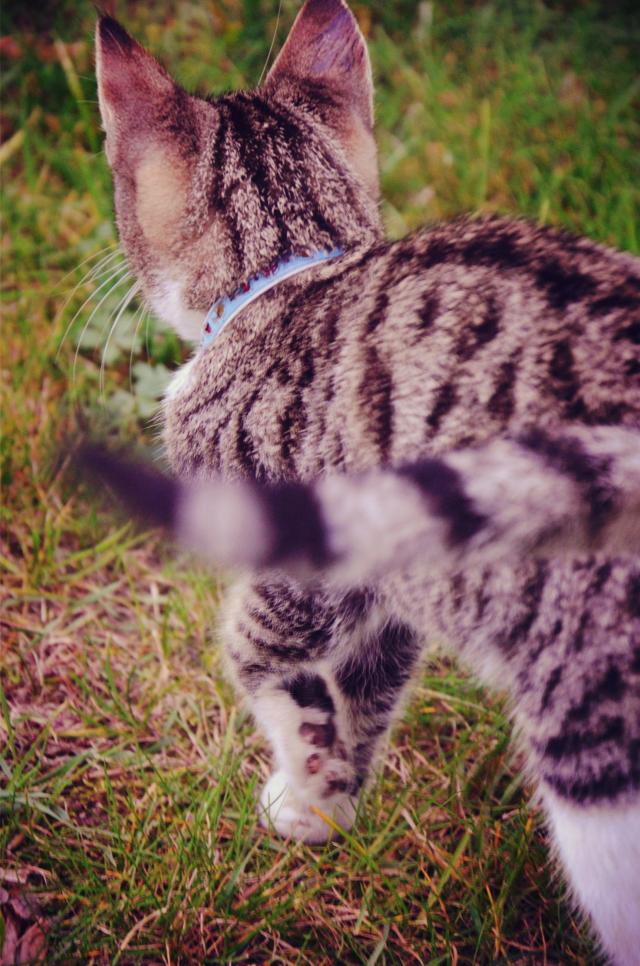 Wpis marcelatakesphotos