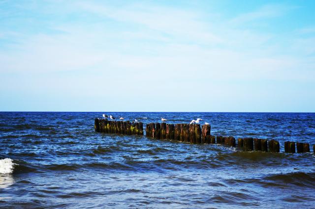 Wpis magiafotografii17