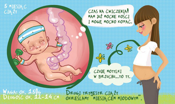 18 tydzien