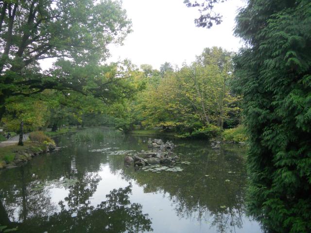 ogrd japoski