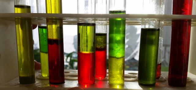 Biologia 