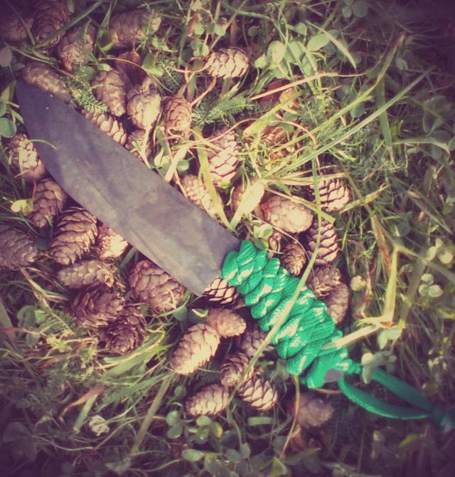 Wpis futureknives