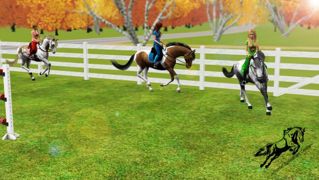 Wpis simseyhorses