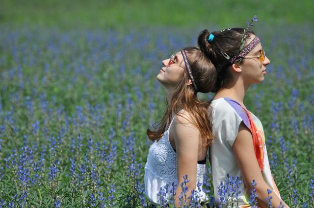 Hippie