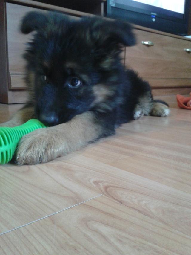 najlepsza ! :*