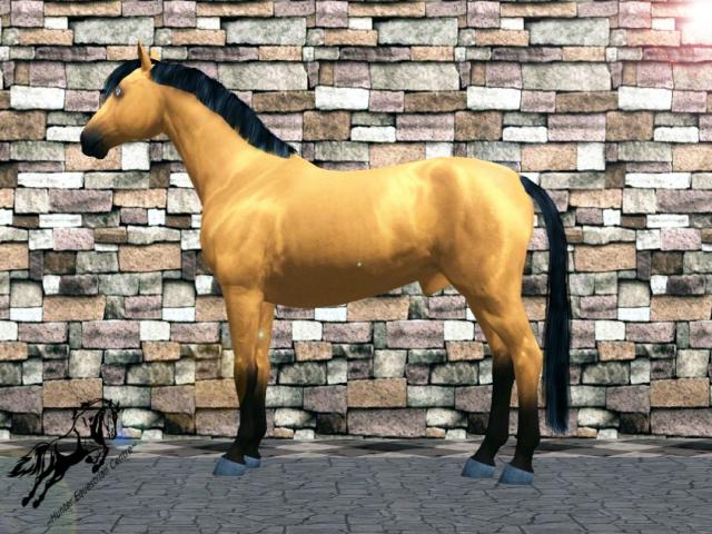 Wpis simseyhorses