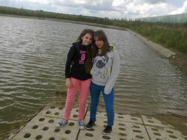 Wpis domi1234567890