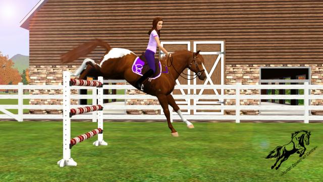 Wpis simseyhorses