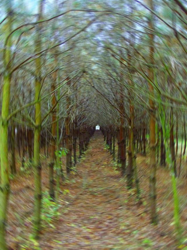 Labirynt ycia.
