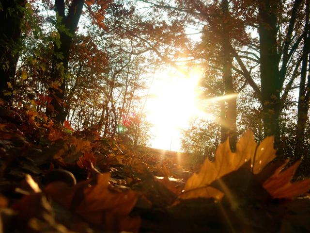 Wpis nataliephoto