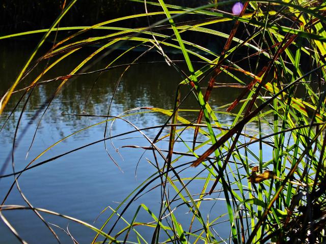 Barwy