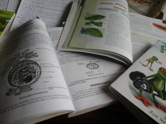 Wpis definitywniexd