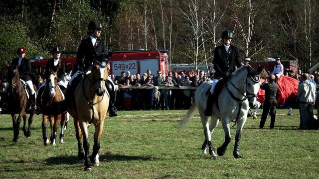 Wpis horses6
