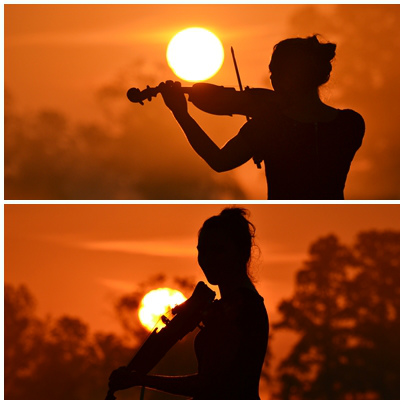violin