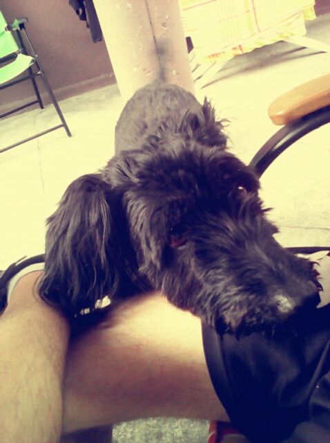 Wpis karolqaaaaa