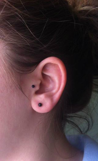 Tragus.